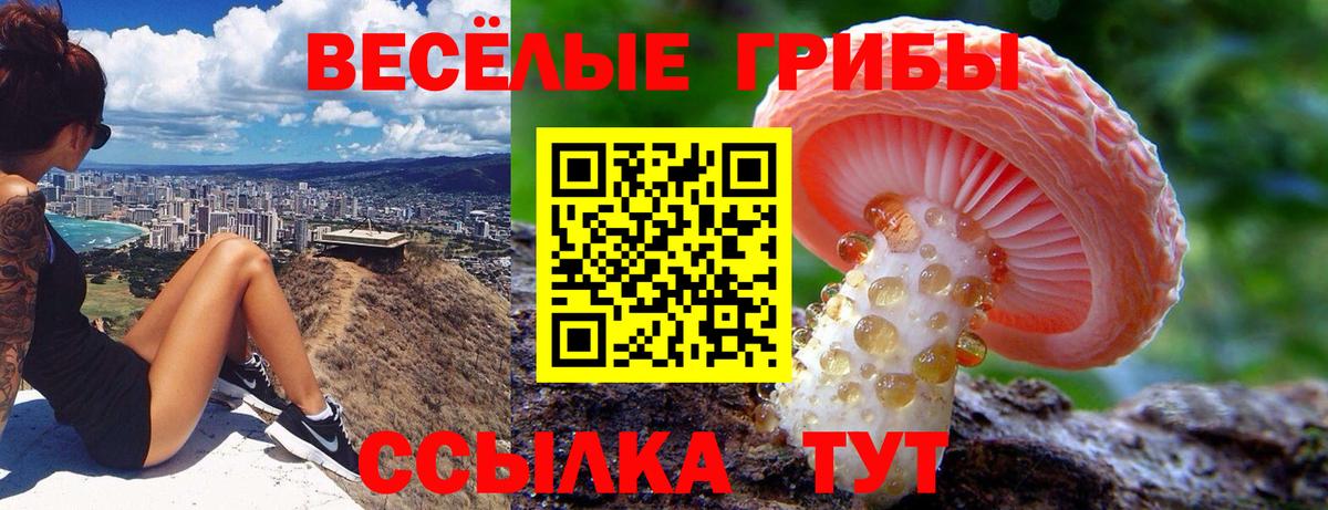 Галлюциногенные грибы мицелий Магнитогорск