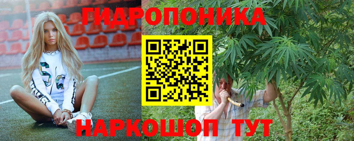 Конопля гибрид Магнитогорск