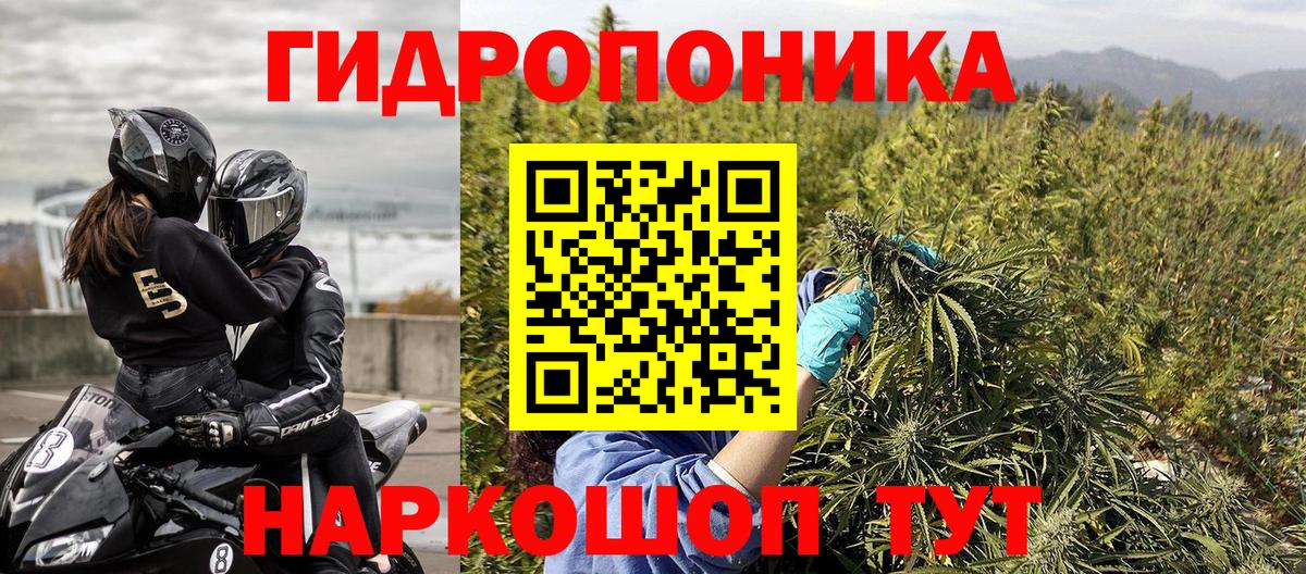 Конопля гибрид  Каннабис Bruce Banner  Магнитогорск  Вход с VPN  Бошки Шишки план 